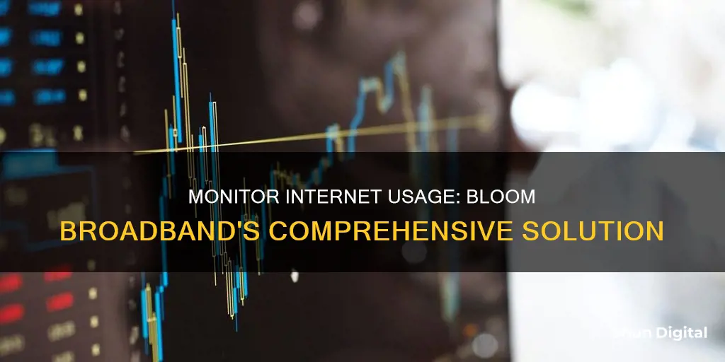 how to monitor internet usage with bloom broadband