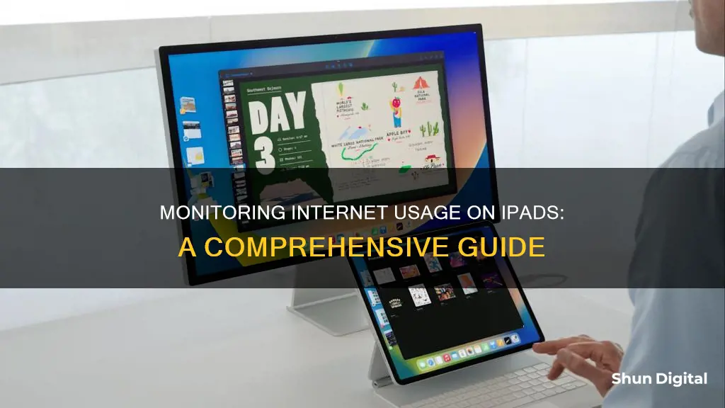 how to monitor ipad internet usage