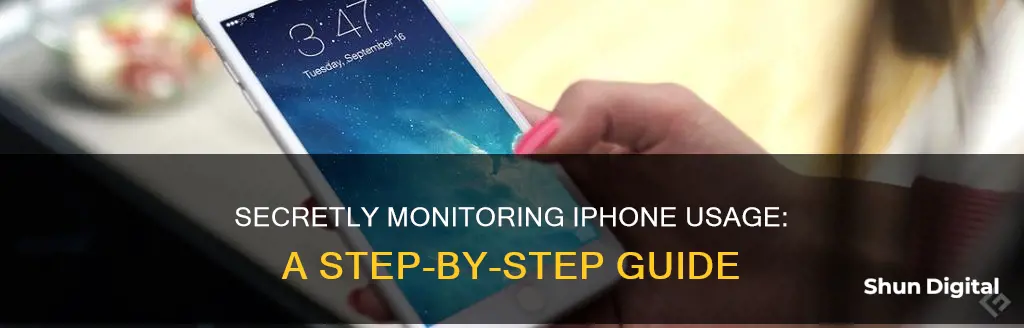 how to monitor iphone usage secretly