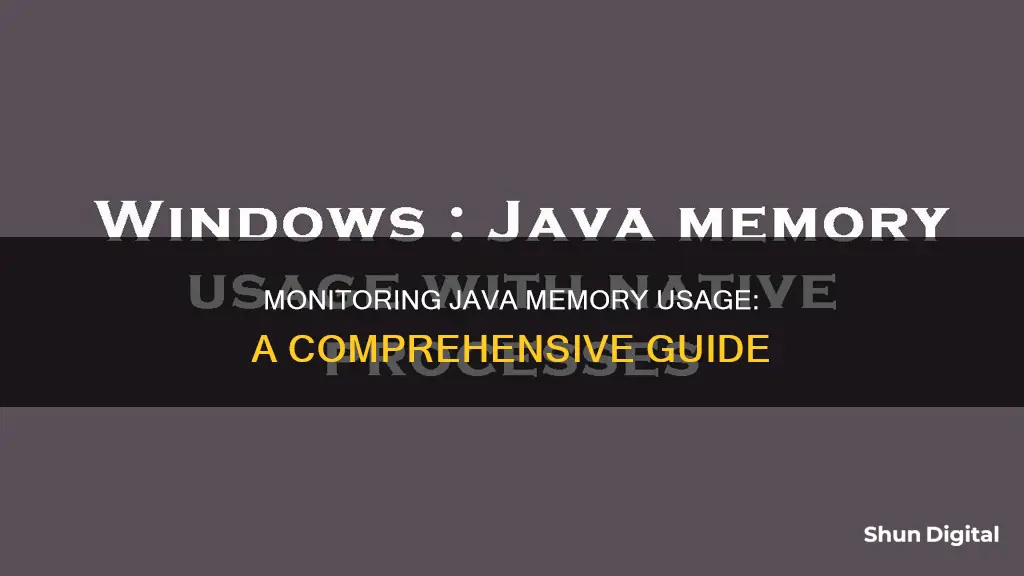 how to monitor java memory usage