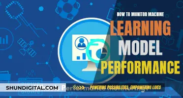 Monitoring Machine Learning Model Performance: Strategies for Success