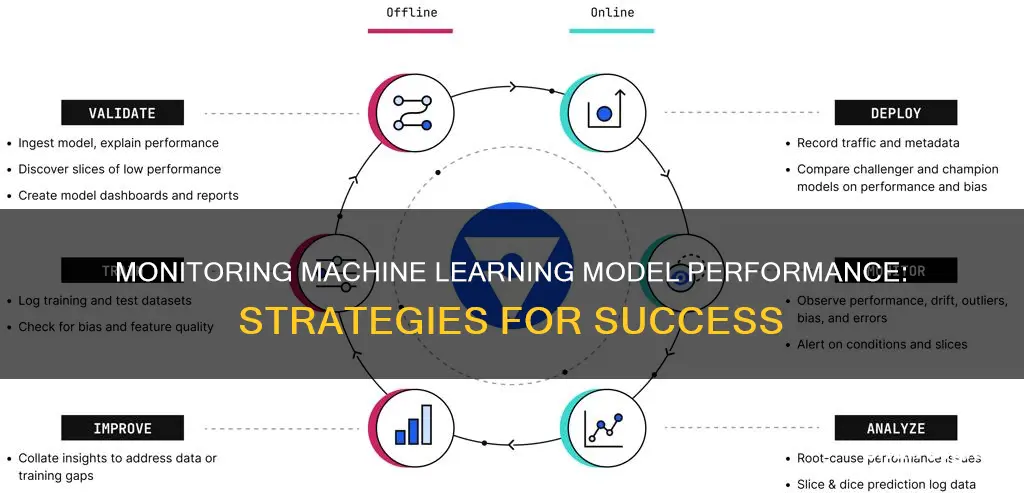 how to monitor machine learning model performance