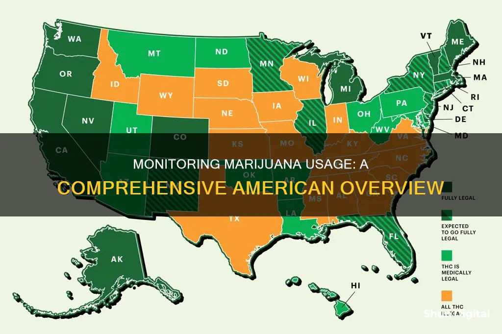 how to monitor marijuana usage through america