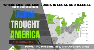 Monitoring Marijuana Usage Across America