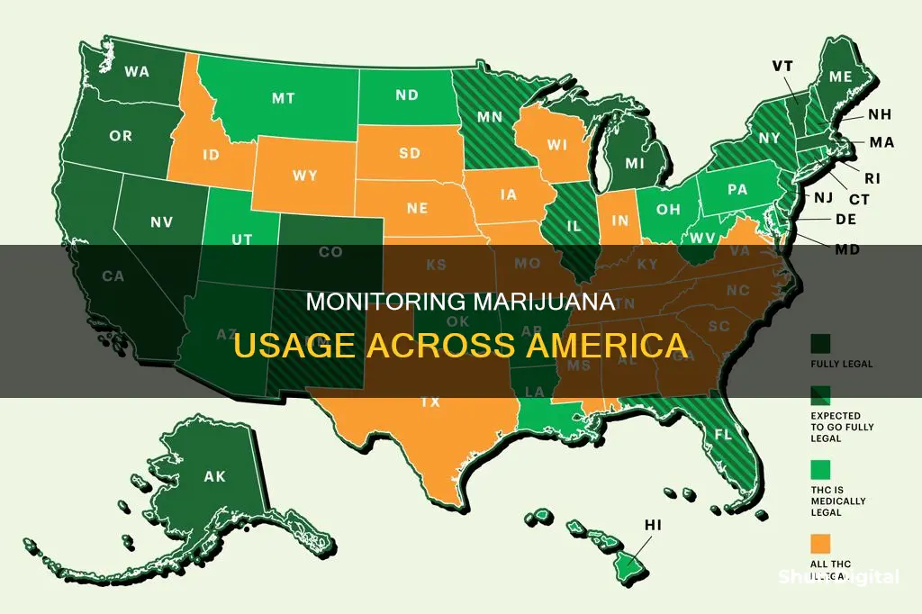 how to monitor mariuana usage trought america