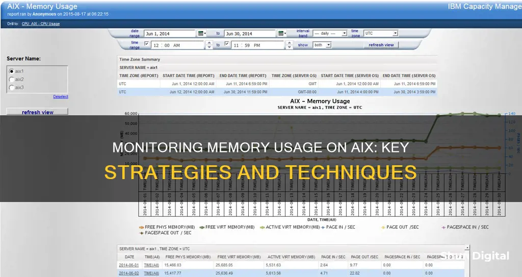 how to monitor memory usage in aix