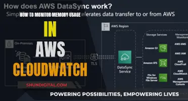 Monitoring Memory Usage: CloudWatch Strategies and Insights