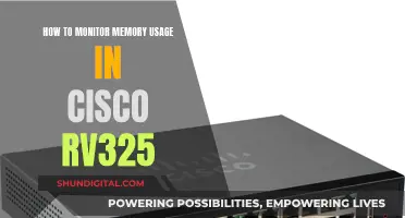 Monitoring Memory Usage: Cisco RV325 Guide