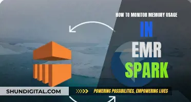 Monitoring Memory Usage: EMR Spark Management Strategies