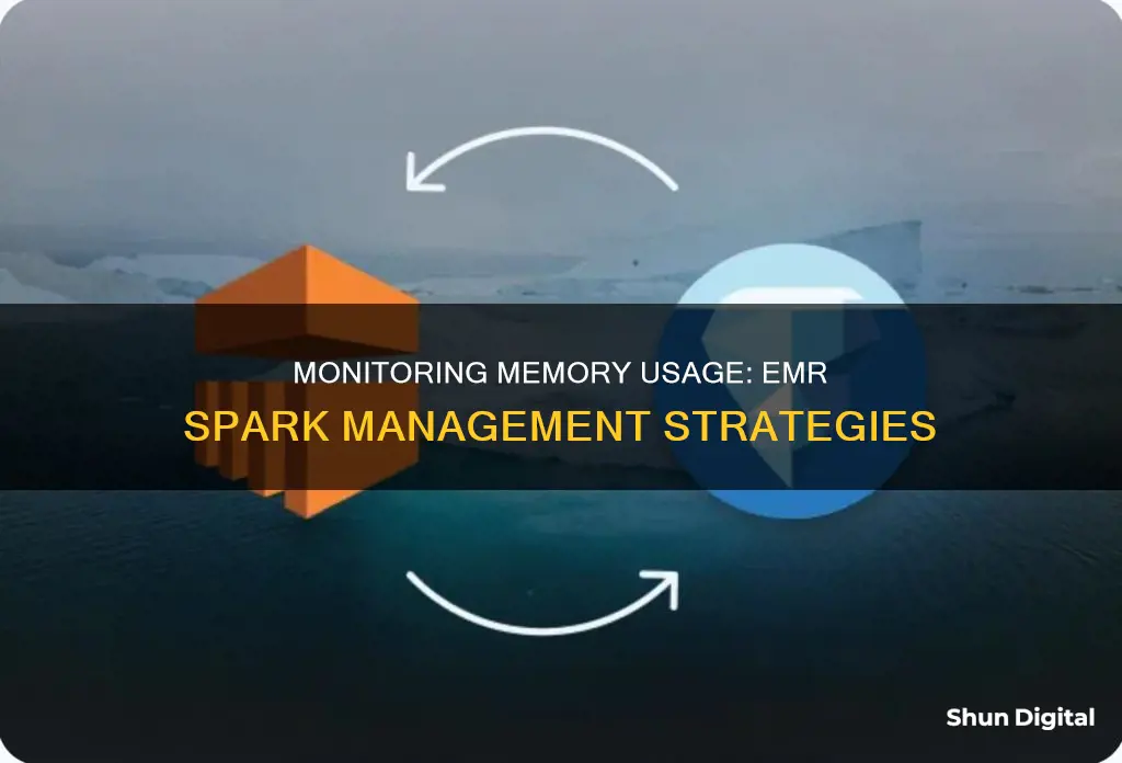 how to monitor memory usage in emr spark