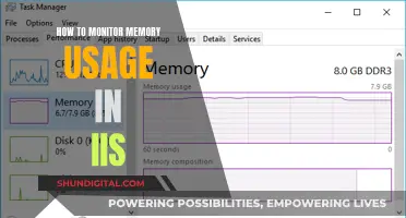 Monitoring Memory Usage in IIS: A Comprehensive Guide