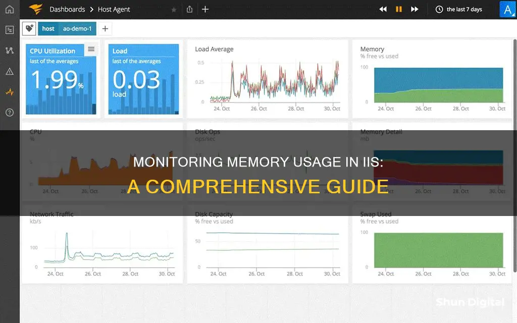 how to monitor memory usage in iis