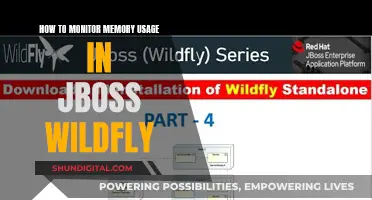 Monitoring Memory Usage in WildFly: A Comprehensive Guide