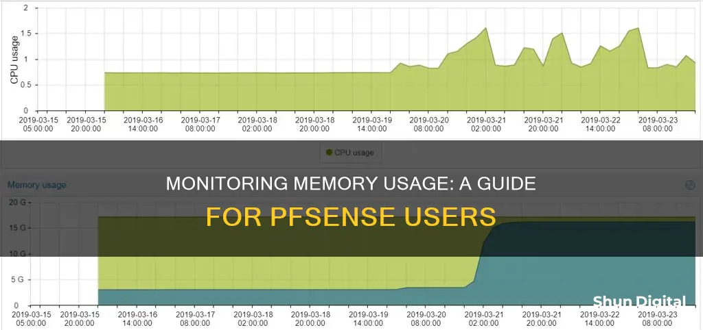 how to monitor memory usage in pfsense