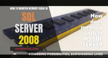 Monitoring Memory Usage: A Guide for SQL Server 2008