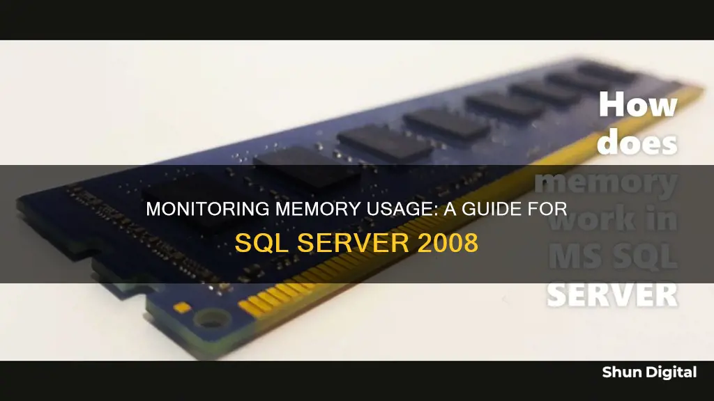 how to monitor memory usage in sql server 2008