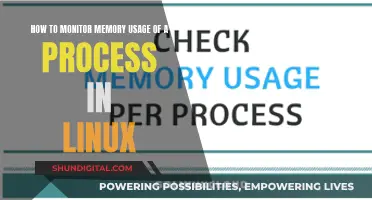 Monitoring Linux Memory Usage: Tracking a Process