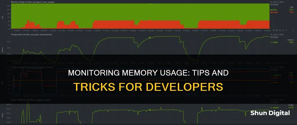 how to monitor memory usage