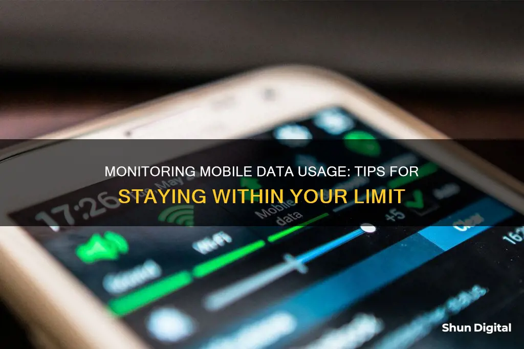 how to monitor mobile data usage