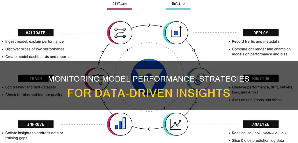 how to monitor model performance