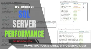 Monitoring MS SQL Server Performance: Tips for Success