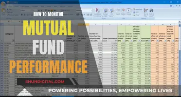 Monitoring Mutual Fund Performance: A Comprehensive Guide