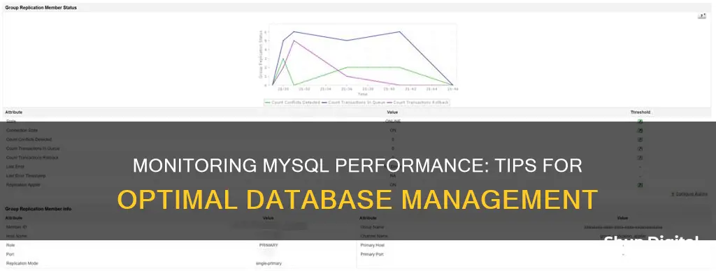 how to monitor mysql database performance