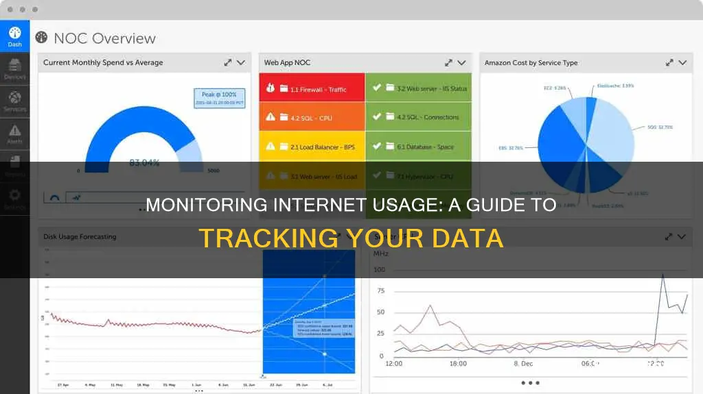 how to monitor net usage