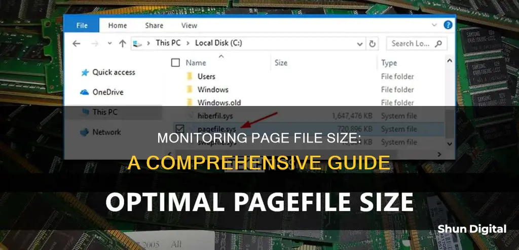 how to monitor page file size