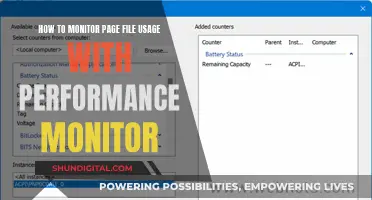 Monitoring Page File Usage: Performance Monitor Guide