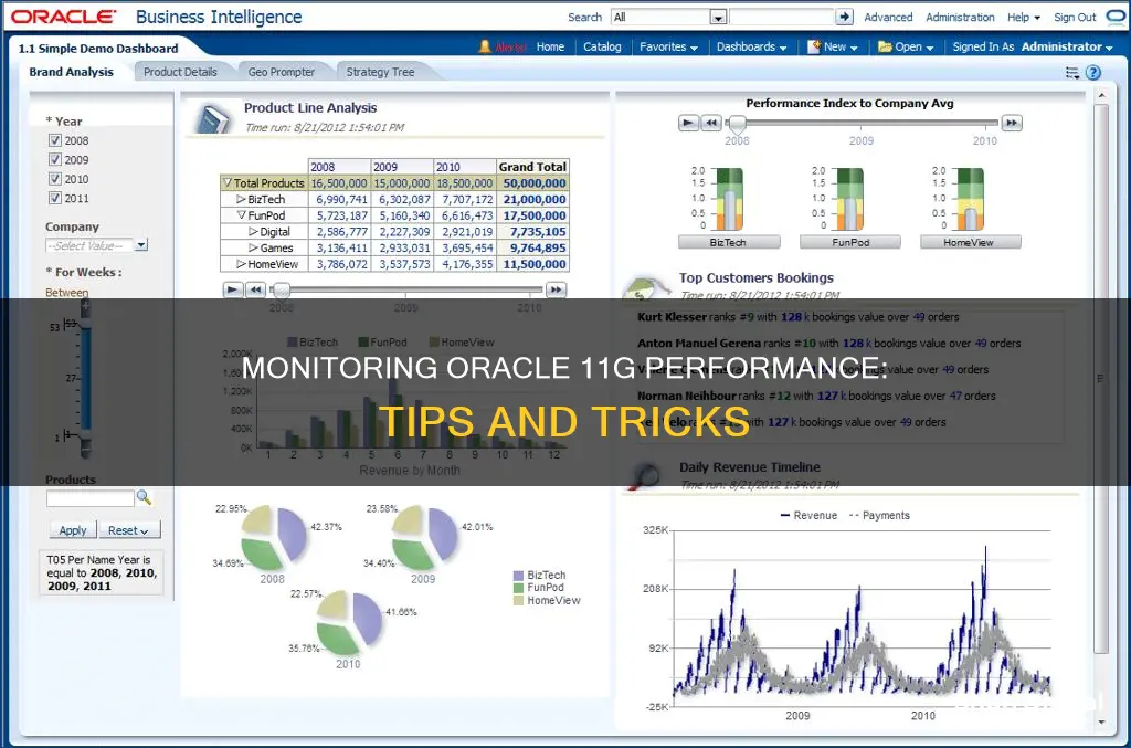 how to monitor performance in oracle 11g