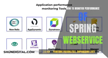 Monitoring Spring WebService Performance: A Comprehensive Guide