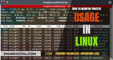 Monitoring Linux Process Usage: A Comprehensive Guide