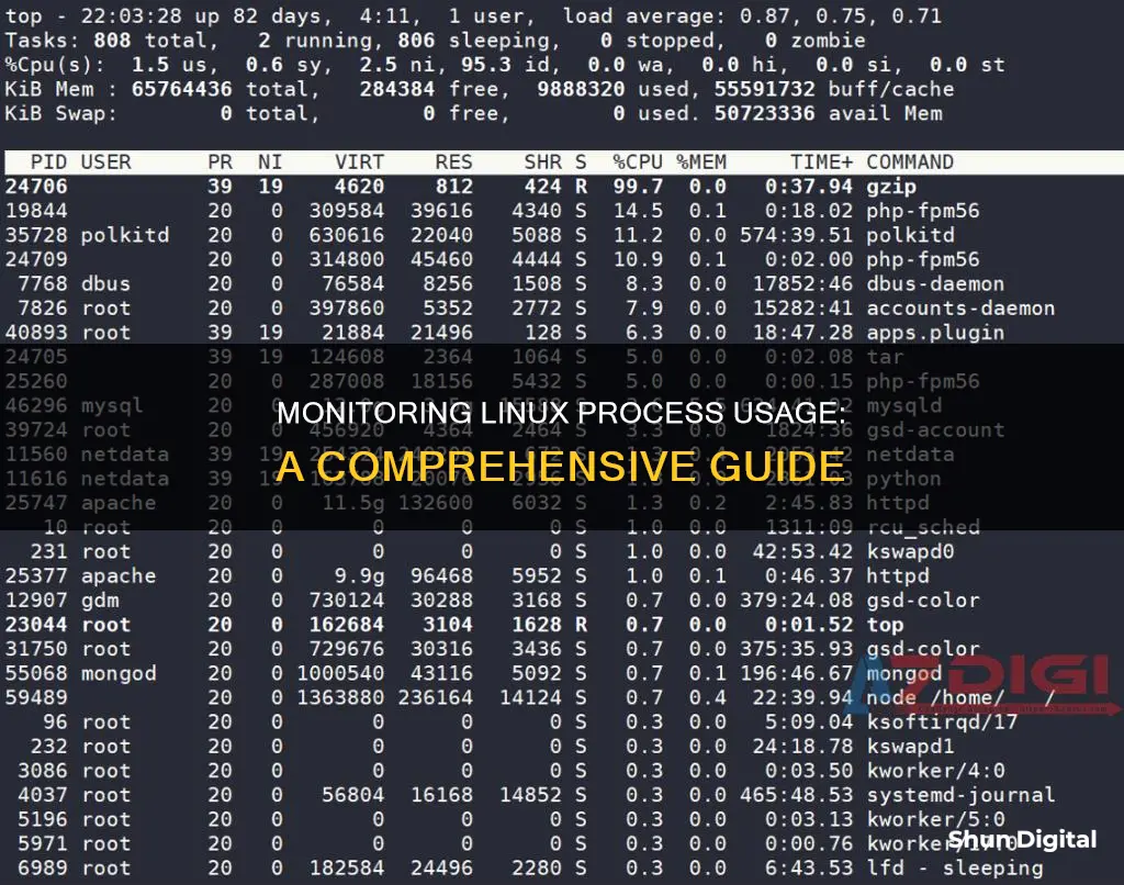 how to monitor process usage in linux