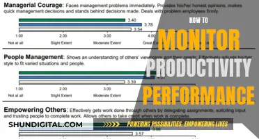 Monitoring Productivity Performance: Strategies for Effective Measurement