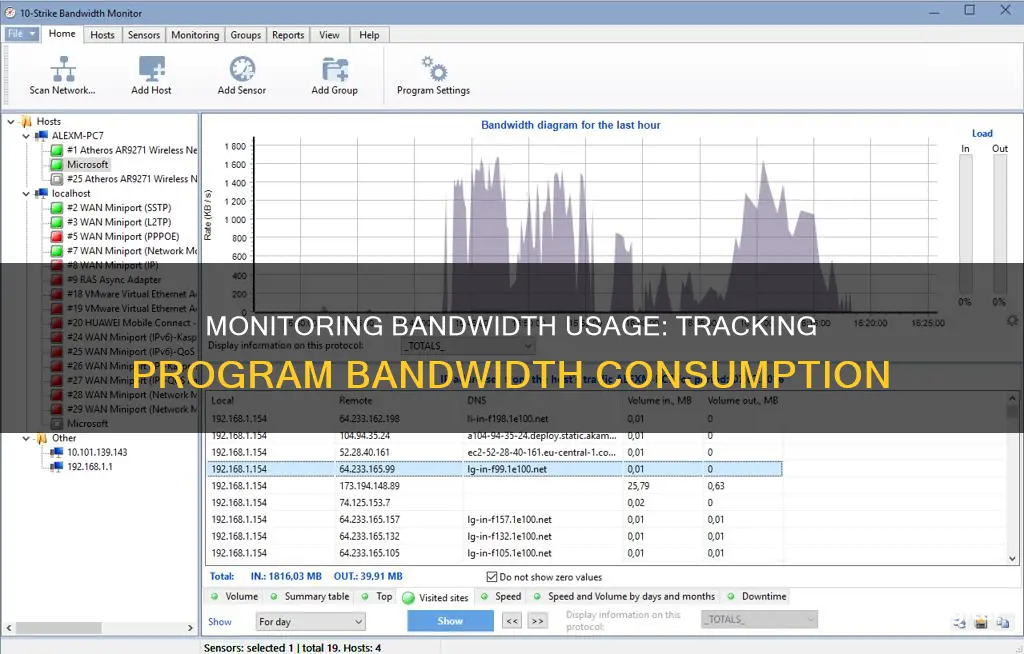 how to monitor progam bandwidth usage