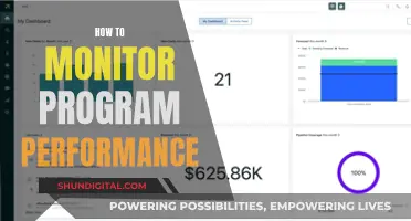 Monitoring Program Performance: Strategies for Success