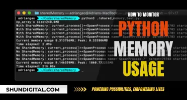 Monitoring Python Memory Usage: Techniques and Best Practices