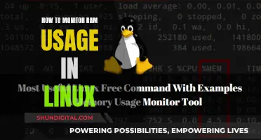 Monitoring RAM Usage: Linux Commands and Techniques