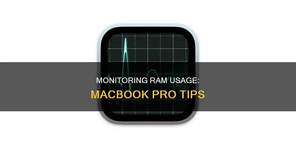 how to monitor ram usage on macbook pro