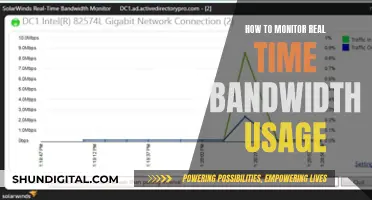 Monitoring Bandwidth Usage: Real-Time Strategies for Network Insights