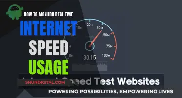 Monitor Internet Speed: Track Usage in Real-Time