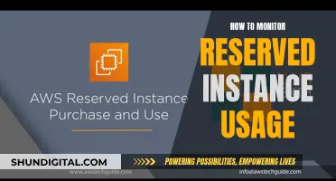 Monitoring Reserved Instance Usage: Strategies for Cloud Cost Optimization
