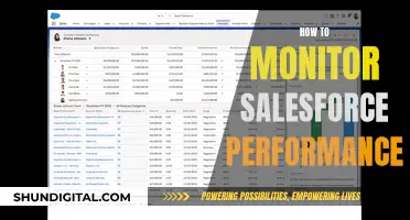 Monitoring Salesforce Performance: Strategies for Success
