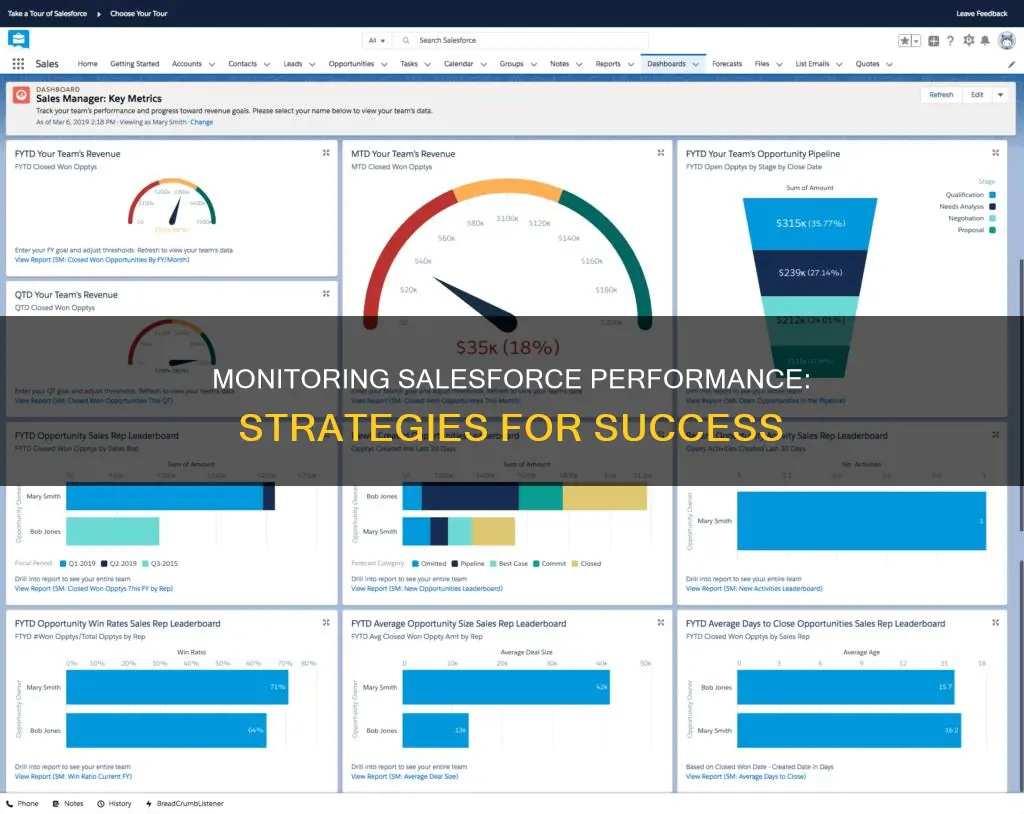 how to monitor salesforce performance