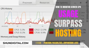 Monitoring CPU Usage: Surpass Hosting for Better Server Performance