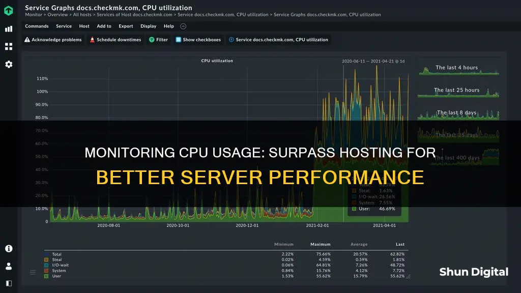 how to monitor server cpu usage surpass hosting