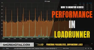 Monitoring Server Performance: LoadRunner Tips and Tricks