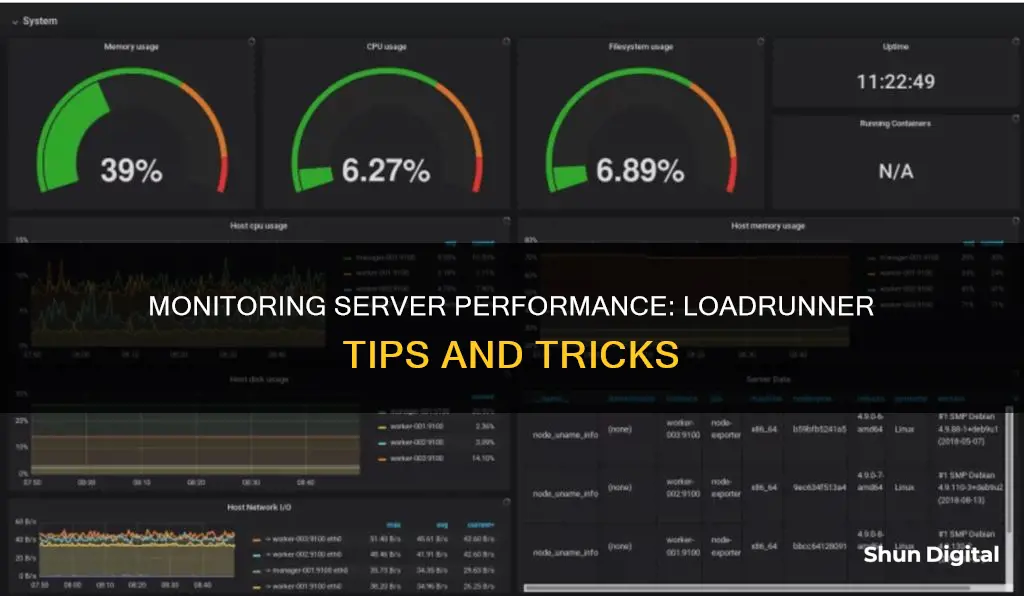 how to monitor server performance in loadrunner