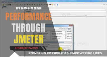 Monitoring Server Performance: JMeter's Essential Role